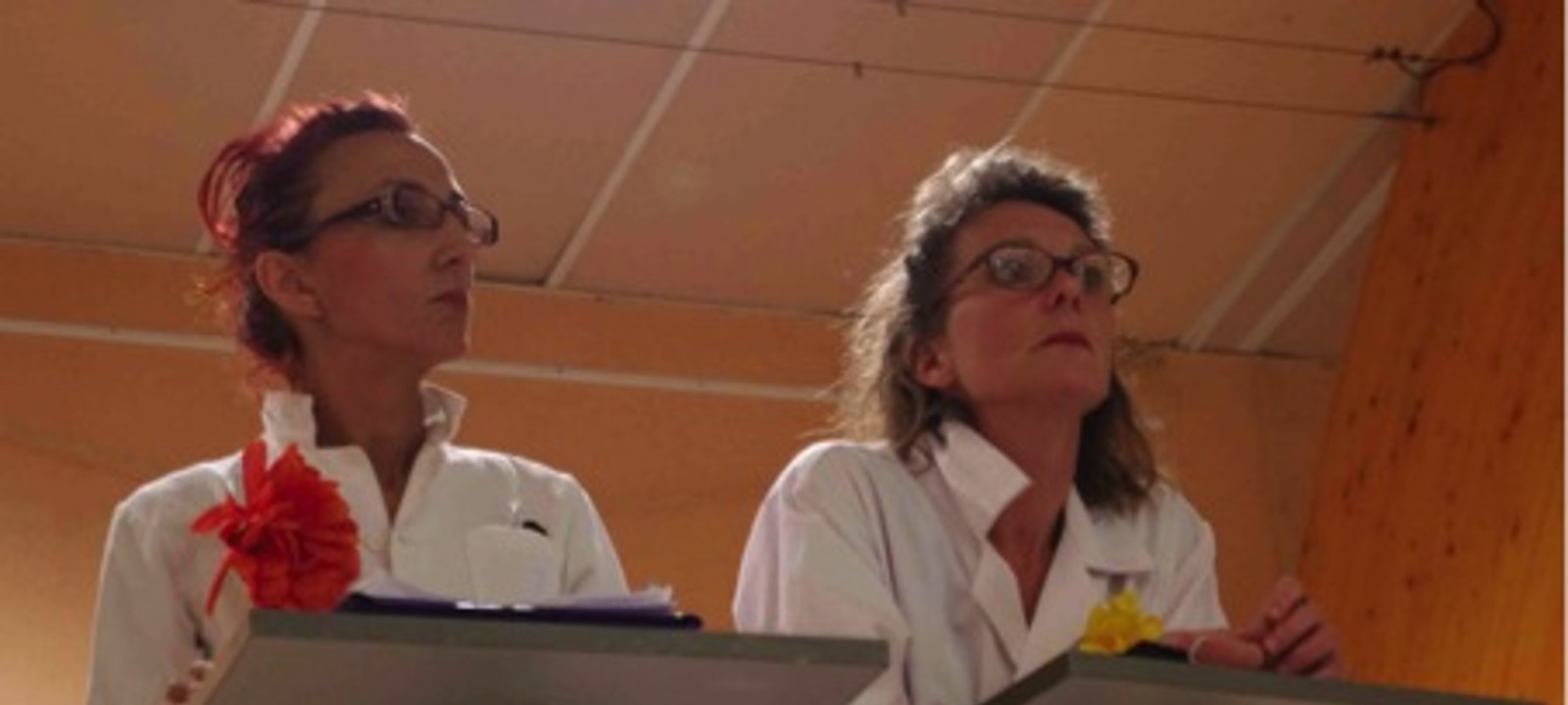 Cie Un Brin De Thé   Et Vous, Es Tu Normal  